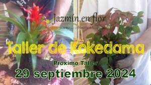 Taller de kokedama - Jazmín en flor