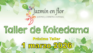 Jazmín en flor Taller de Kokedama