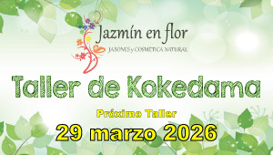 Jazmín en flor Taller de Kokedama