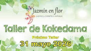 Jazmín en flor Taller de Kokedama