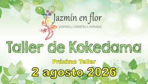Taller de Kokedama - Jazmín en flor